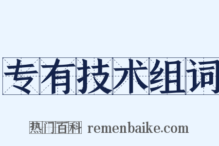 专有技术组词是什么意思的图片